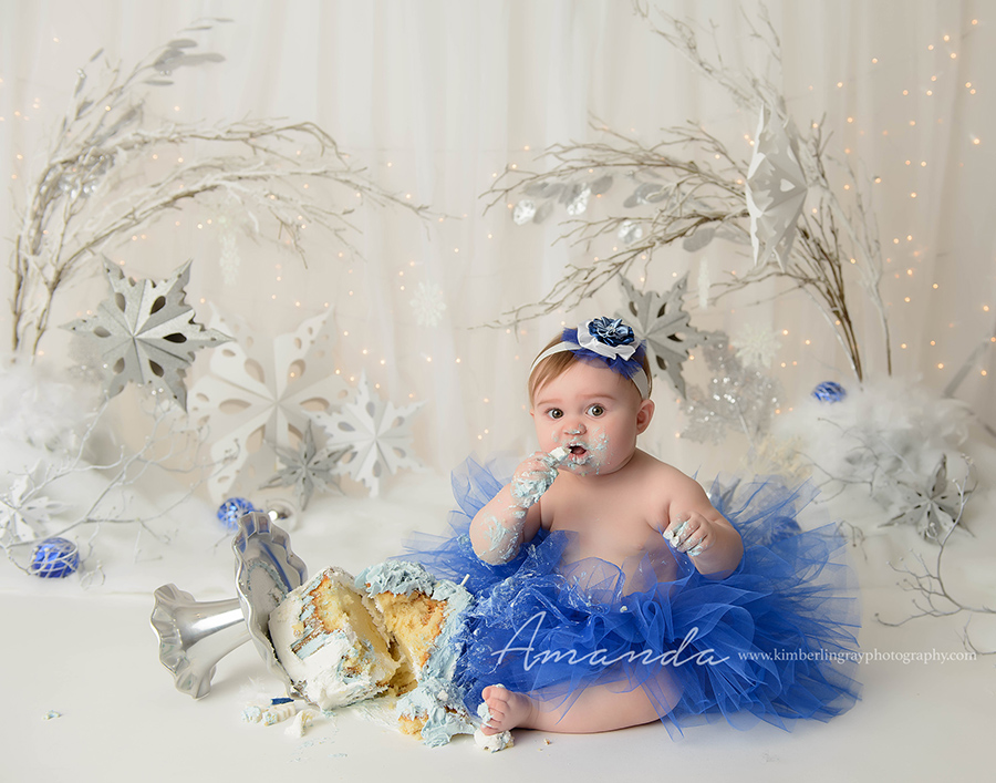 winter blue and silver snowflake cake smash